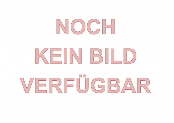 VW Passat Airbag Steuergerät Prüfung